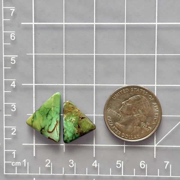 Medium Lime Green Triangle Crescent Lake Variscite, Set of 2 Dimensions
