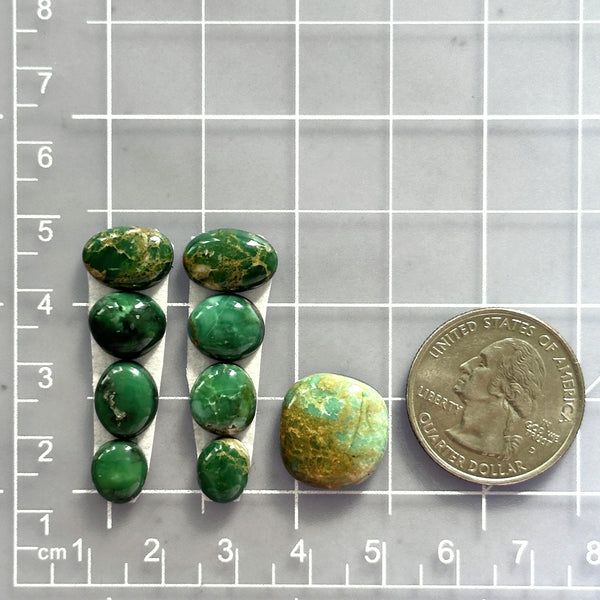 Small Deep Green Mixed Broken Arrow Variscite, Set of 9 Dimensions