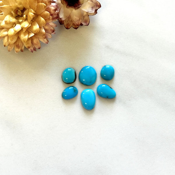 Small Sky Blue Mixed Sleeping Beauty Turquoise, Set of 6 Background