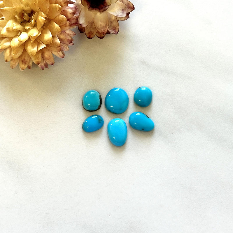 Small Sky Blue Mixed Sleeping Beauty Turquoise, Set of 6 Background