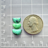 Small Mint Green Freeform Mixed Turquoise, Set of 3 Dimensions