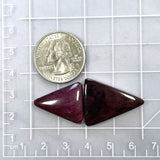 Medium Purple Triangle Spiny Oyster, Set of 2 Dimensions