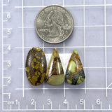 Large Mixed Mixed Treasure Mountain Turquoise, Set of 3 Dimensions