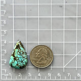 Large Sky Blue Teardrop Wild Horse Turquoise Dimensions