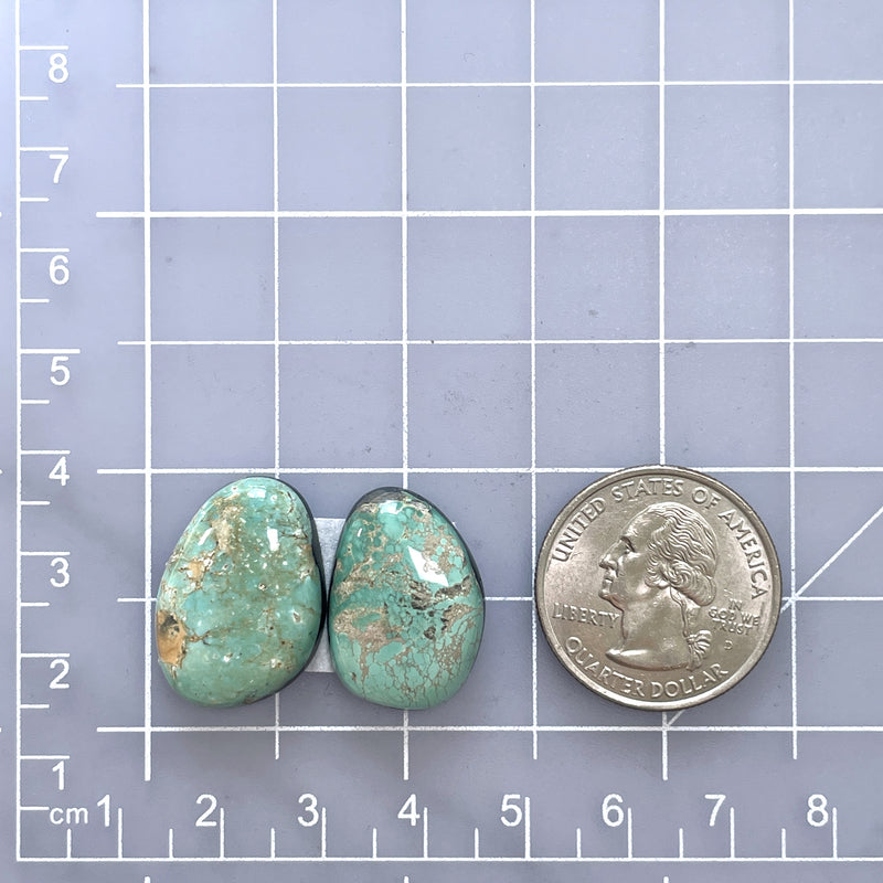 Medium Mixed Freeform Carico Lake Turquoise, Set of 2 Dimensions