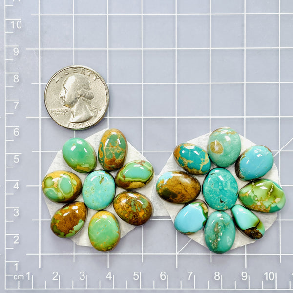 Small Mixed Mixed Royston Turquoise, Set of 17 Dimensions