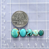 Small Mixed Freeform Tyrone Turquoise, Set of 5 Dimensions