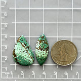 Large Bamboo Green Freeform Bamboo Mountain Turquoise, Set of 2 Dimensions