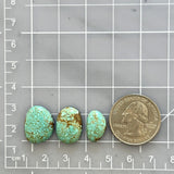 Small Sky Blue Freeform Number 8 Turquoise, Set of 3 Dimensions