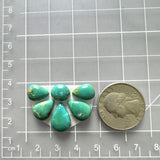 Small Sea Green Mixed Fox Turquoise, Set of 6 Dimensions