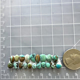 Small Mixed Mixed Mixed Turquoise, Set of 20 Dimensions