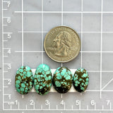 Medium Bamboo Green Oval Bamboo Mountain Turquoise, Set of 4 Dimensions