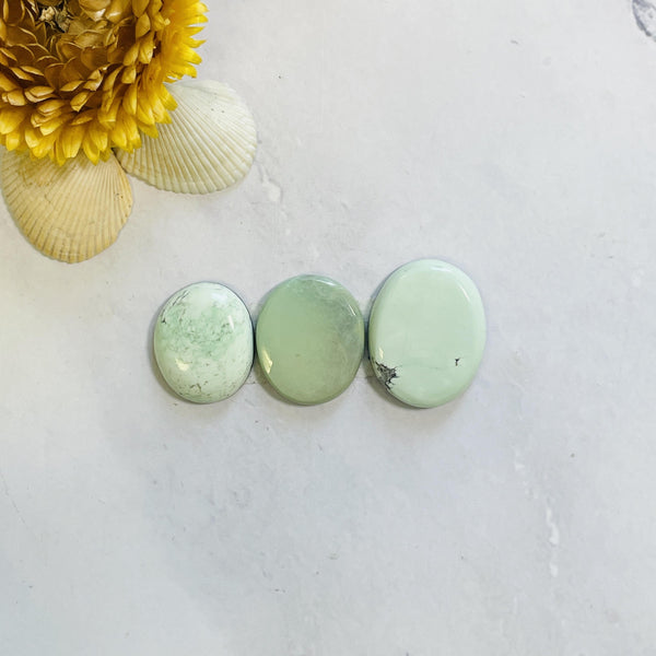 Medium Faint Green Mixed Lone Mountain Turquoise, Set of 3 Background