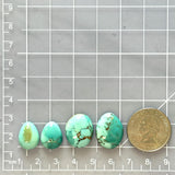 Small Mint Green Mixed Namtso Lake Turquoise, Set of 4 Dimensions