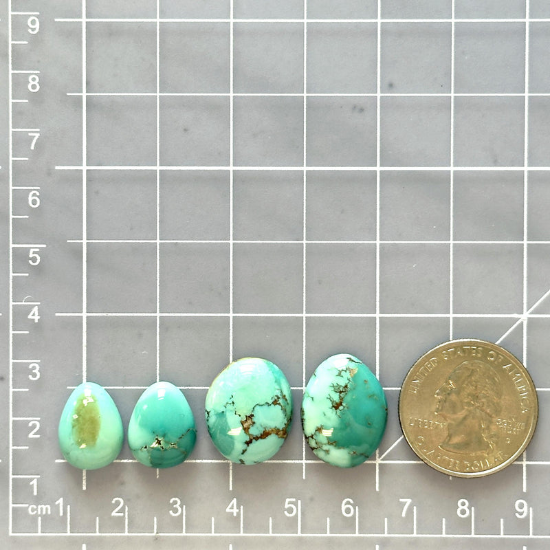 Small Mint Green Mixed Namtso Lake Turquoise, Set of 4 Dimensions