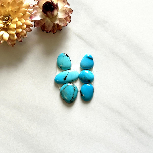 Small Sky Blue Freeform Kingman Turquoise, Set of 6 Background