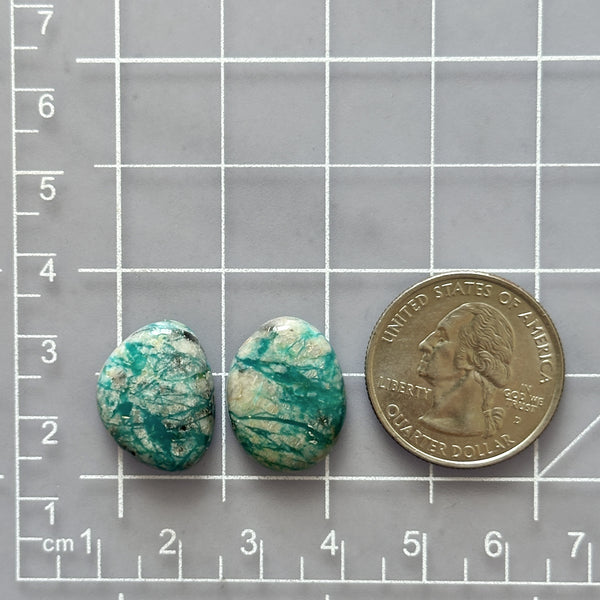 Medium Deep Green Mixed Fox Turquoise, Set of 2 Dimensions