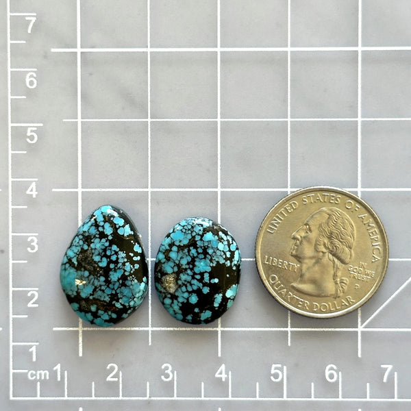 Medium Ocean Blue Mixed Yungai Turquoise, Set of 2 Dimensions
