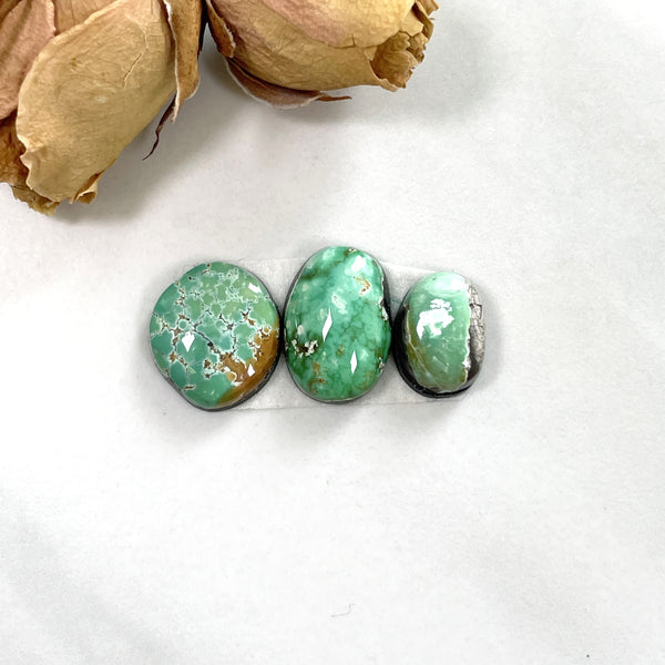 Small Mint Green Freeform Carico Lake Turquoise, Set of 3 Background