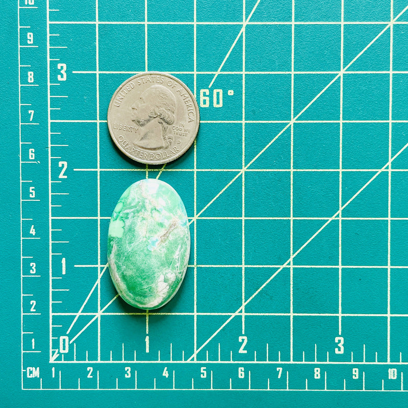 Large Sea Green Oval Crescent Lake Variscite Dimensions
