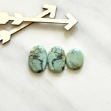 Medium Mint Green Mixed Crescent Lake Variscite, Set of 3 Background