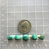 Small Sea Green Mixed Crescent Lake Variscite, Set of 5 Dimensions