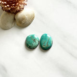 Medium Mint Green Freeform Tyrone Turquoise, Set of 2 Background