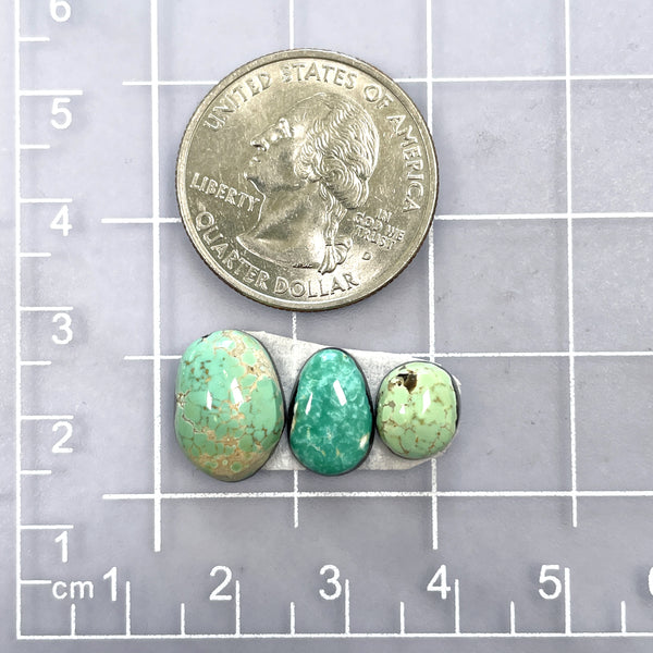 Small Mixed Freeform Carico Lake Turquoise, Set of 3 Dimensions