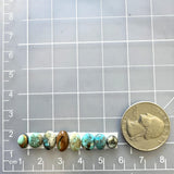Small Mixed Mixed Mixed Turquoise, Set of 8 Dimensions