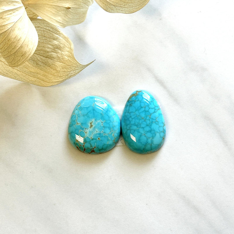 Large Sky Blue Freeform Royston Turquoise, Set of 2 Background