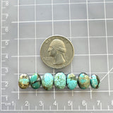 Small Sky Blue Oval Mixed Turquoise, Set of 7 Dimensions