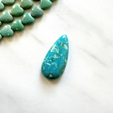 Large Ocean Blue Teardrop Fox Turquoise Background