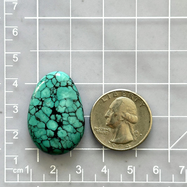 Large Ocean Blue Freeform Yungai Turquoise Dimensions