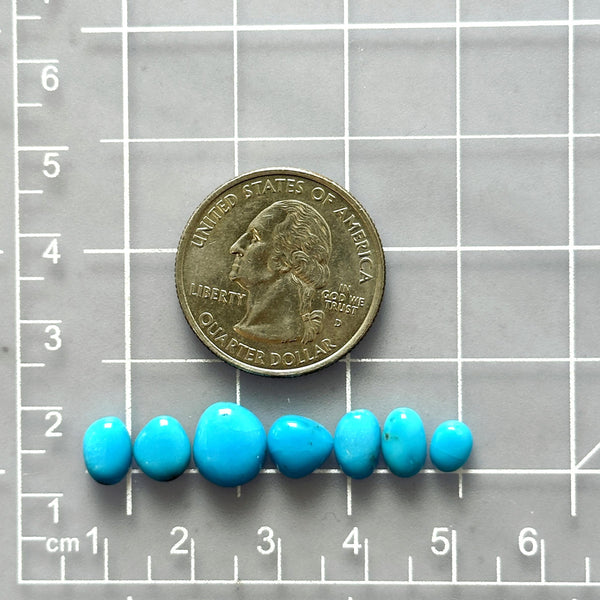 Small Sky Blue Freeform Sleeping Beauty Turquoise, Set of 7 Dimensions