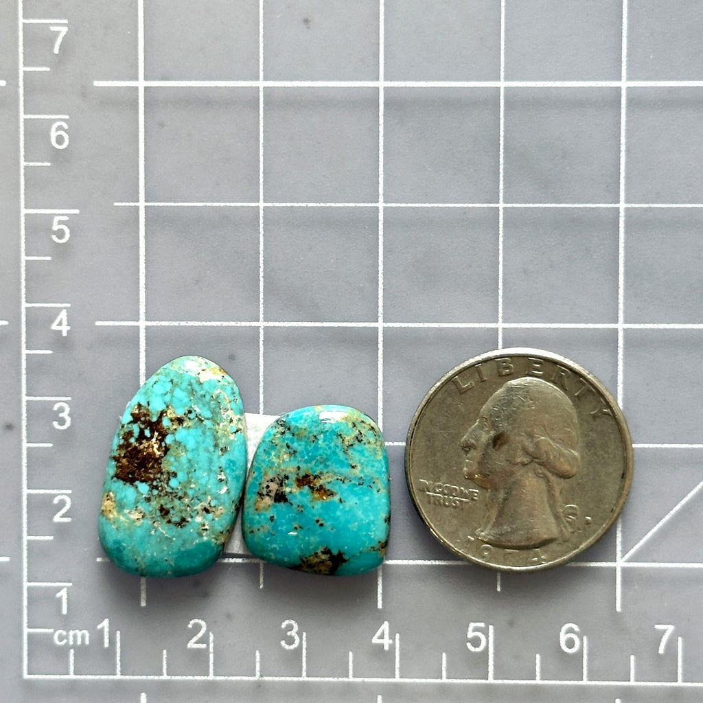 Large Sky Blue Mixed Number 8 Turquoise, Set of 2 - Turquoise Moose