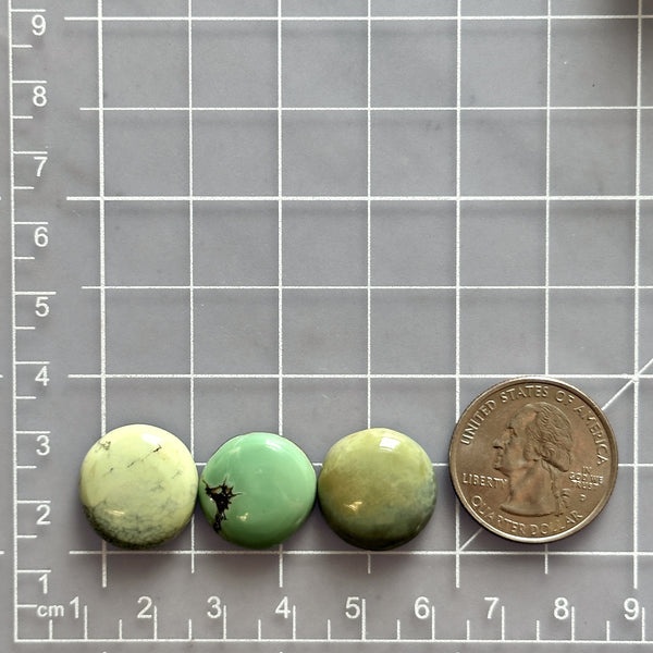 Small Mixed Round Crescent Lake Variscite, Set of 3 Dimensions