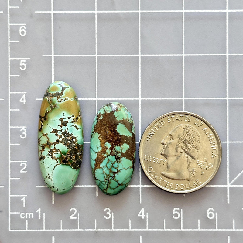 Large Sea Green Oval Treasure Mountain Turquoise, Set of 2 Dimensions