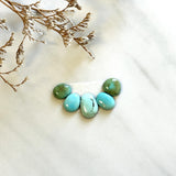Small Mixed Mixed Lone Mountain Turquoise, Set of 5 Background