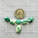 Small Deep Green Freeform Fox Turquoise, Set of 6 Dimensions