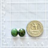 Small Sea Green Oval Crescent Lake Variscite, Set of 2 Dimensions