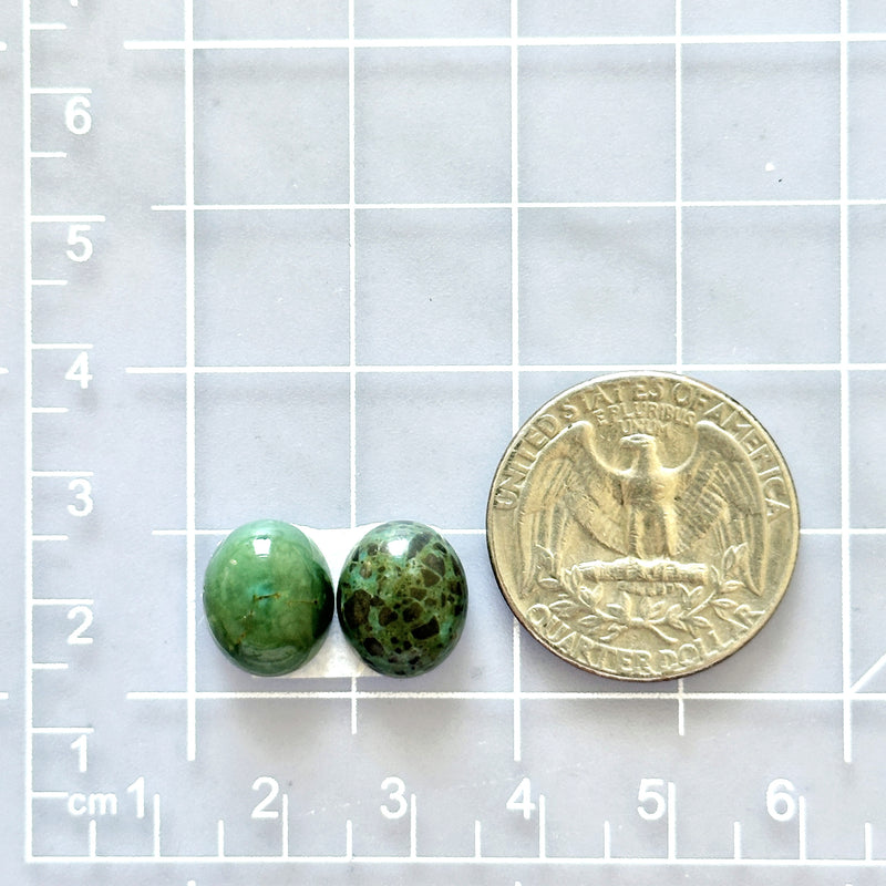Small Sea Green Oval Crescent Lake Variscite, Set of 2 Dimensions