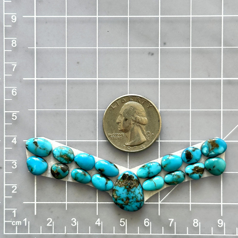 Small Sky Blue Mixed Lone Mountain Turquoise, Set of 17 Dimensions