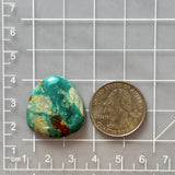 Large Deep Green Freeform Fox Turquoise Dimensions