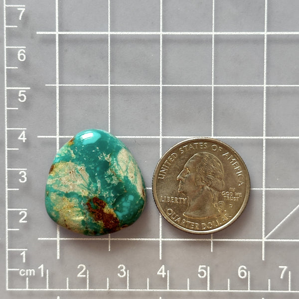 Large Deep Green Freeform Fox Turquoise Dimensions