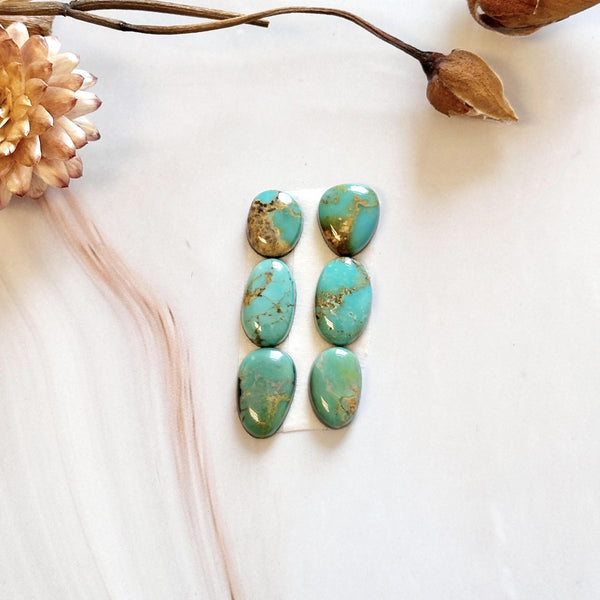 Small Sea Green Mixed Royston Turquoise, Set of 6 Background
