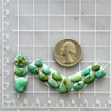 Small Lime Green Mixed Lone Mountain Turquoise, Set of 16 Dimensions
