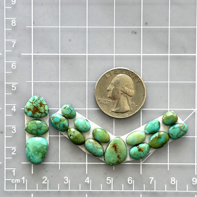 Small Lime Green Mixed Lone Mountain Turquoise, Set of 16 Dimensions