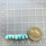 Small Sky Blue Mixed Kingman Turquoise, Set of 7 Dimensions