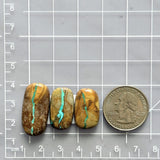 Medium Sky Blue Freeform Royston Turquoise, Set of 3 Dimensions