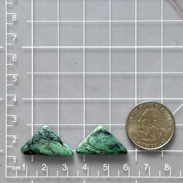 Large Ocean Blue Triangle Crescent Lake Variscite, Set of 2 Dimensions